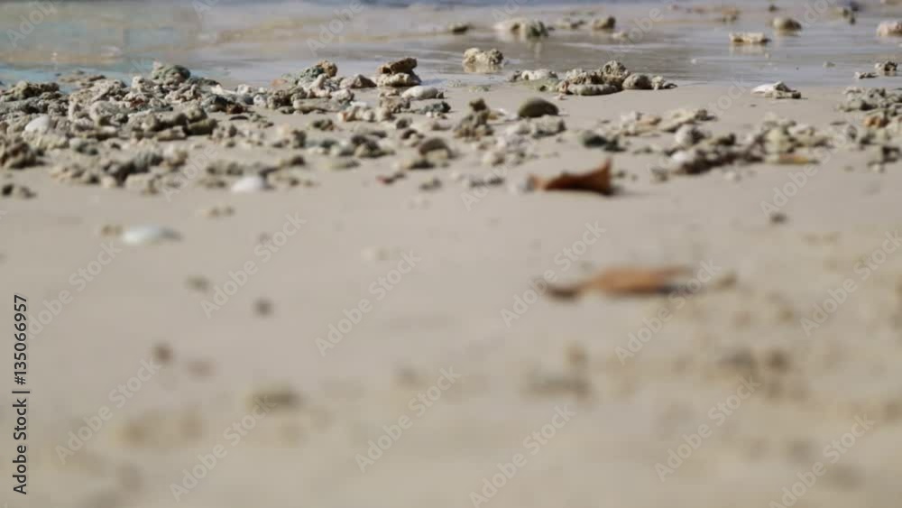in philippines wave of pacific ocean near the sandy beach concept od relax. in philippines wave of pacific ocean near the sandy beach concept od relax.