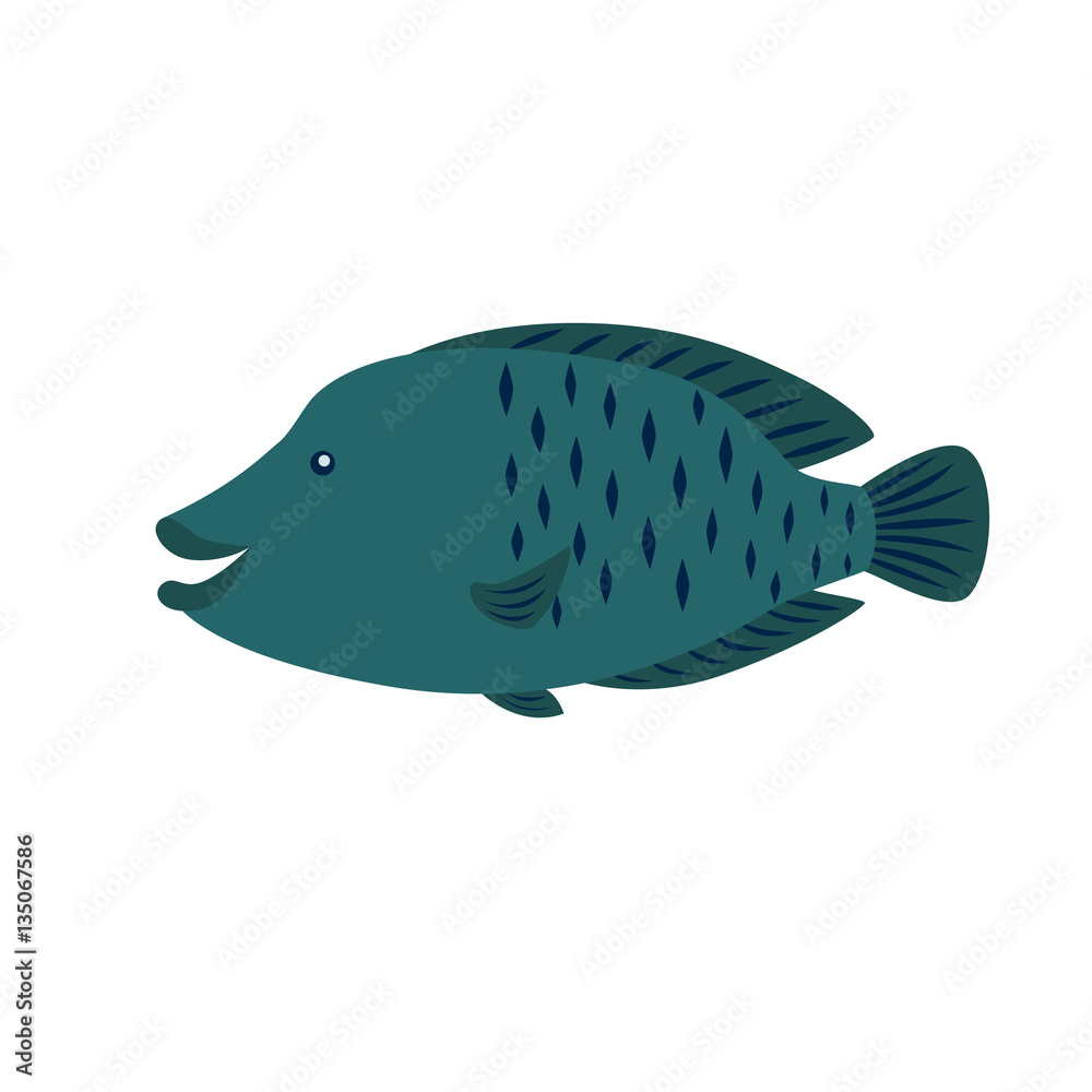 Napoleon Fish vector illustration for children
