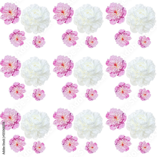 repeatable   pattern pale white pink peonies