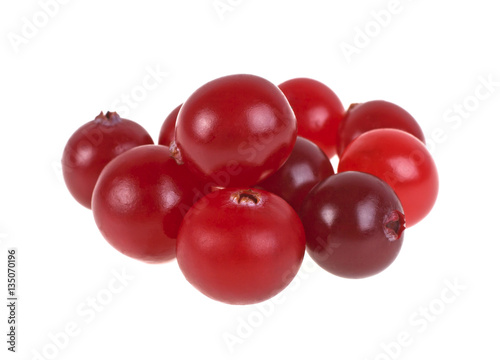 Cranberry. Fresh raw berries isolated on white background.