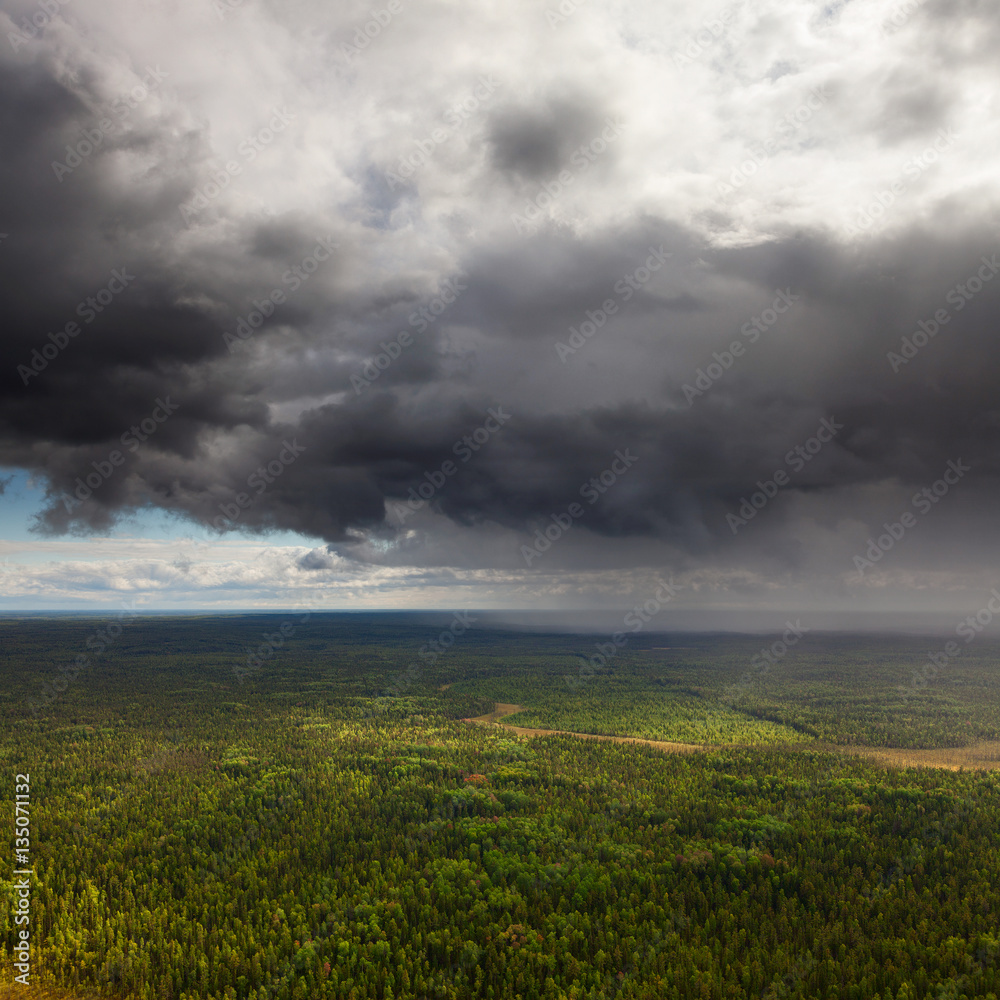 Fototapeta premium Rain over forest, top view