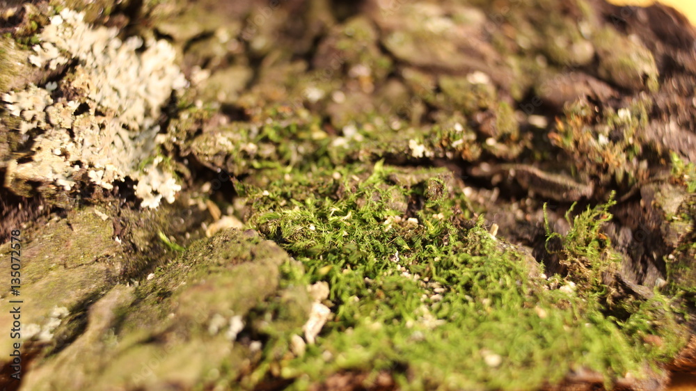 Hintergrund Hintergrund