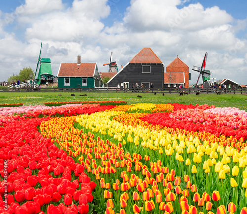 view of rural dutch country skyline of small old town Zaanse Schans,, Netherlands