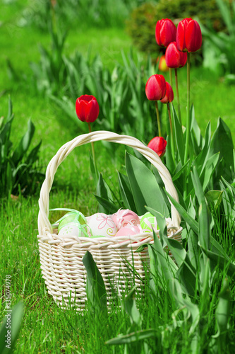 Easter eggs basket and tulip flowers
