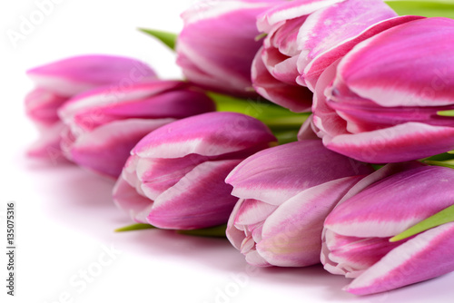 Blumenstrauß mit frischen Tulpen