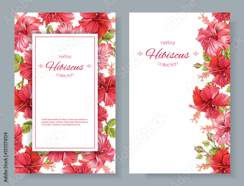 Hibiscus flower banners