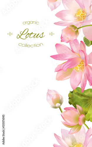 Lotus flower banner