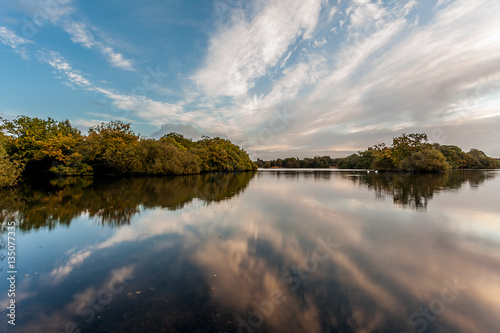 Forest Ponds Symetry