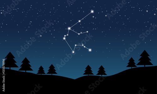 Vector illustration of Aquarius constellation on the background of starry sky and night landscape