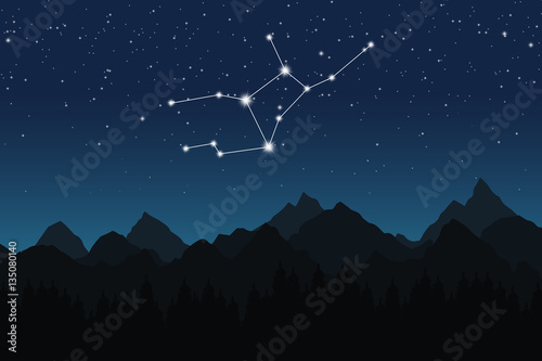Vector illustration of Virgo constellation on the background of starry sky and night mountain