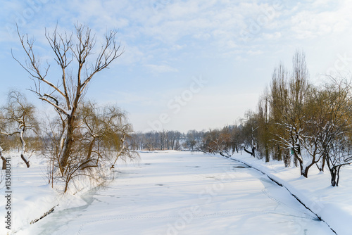 Winter Landscape With Snow And Trees After Blizzard