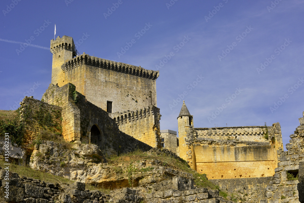 Aux pieds du château de Commarque (24620 Les Eyzies ), département de la Dordogne en région Nouvelle-Aquitaine, France, Périgord	