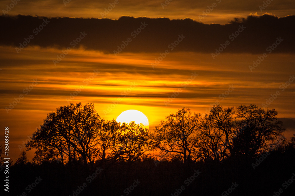 Obraz premium Sundowner am Dankern See