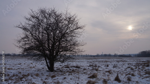 Wallpaper Mural Winterlandschaft Torontodigital.ca