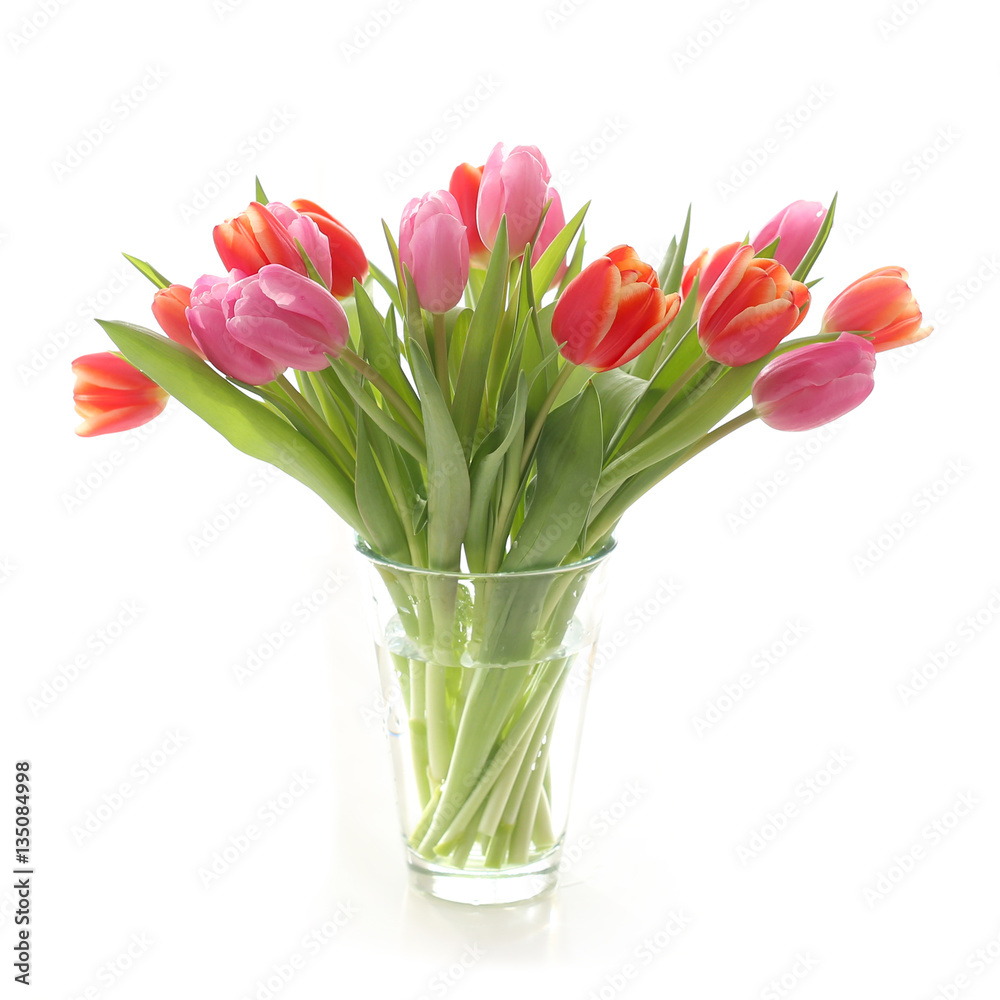 Tulips in a glas vase