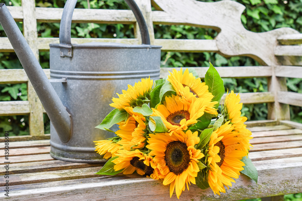 Fototapeta premium Fresh bunch of sunflowers and zinc watering can on garden bench.