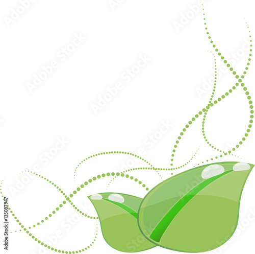 organic product design, vector illustration