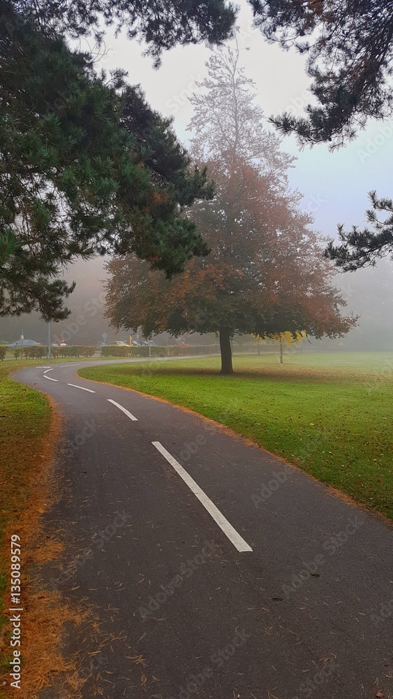foggy morning during winter in a park in oxford