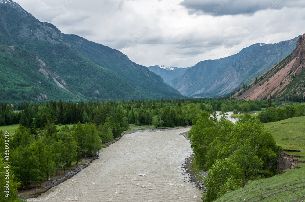 River flowing in the mountains