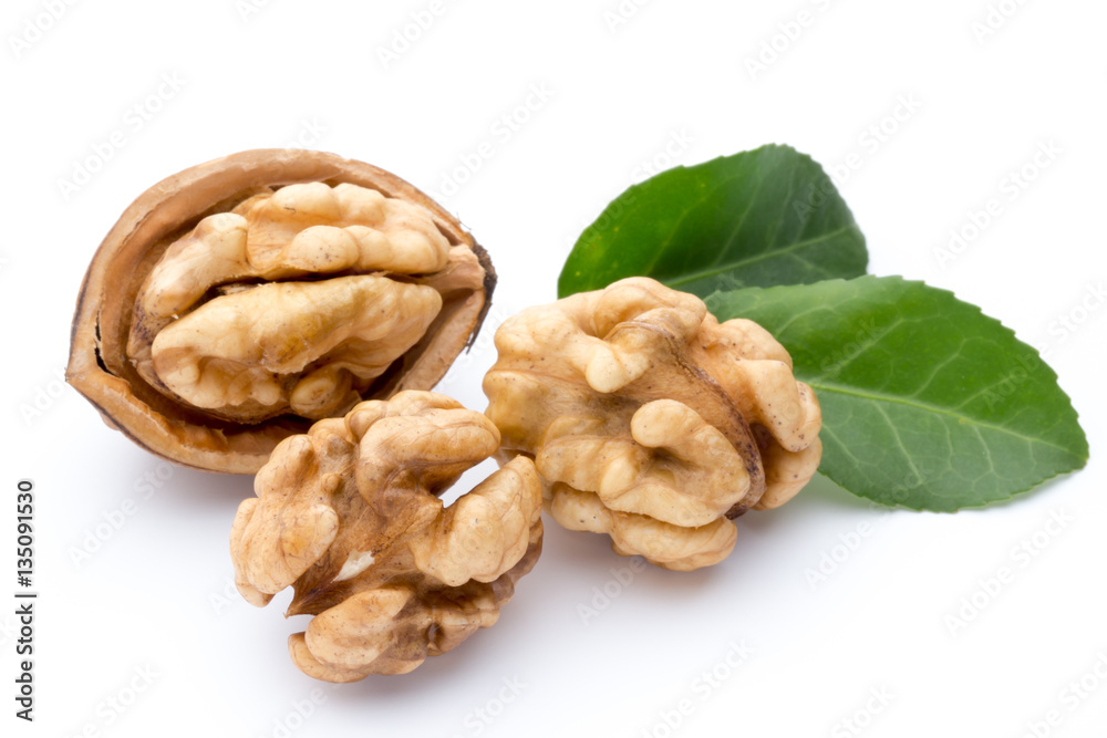 Walnut and walnut kernel isolated on the white background. Walnut and walnut kernel isolated on the white background.