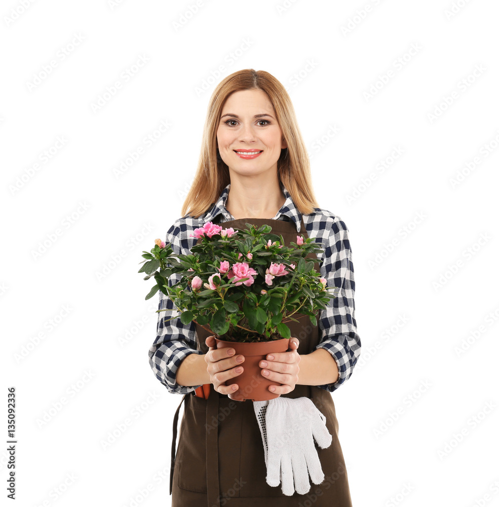 Beautiful woman florist holding house plant isolated on white background