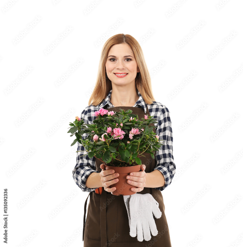 Beautiful woman florist holding house plant isolated on white background Beautiful woman florist holding house plant isolated on white background
