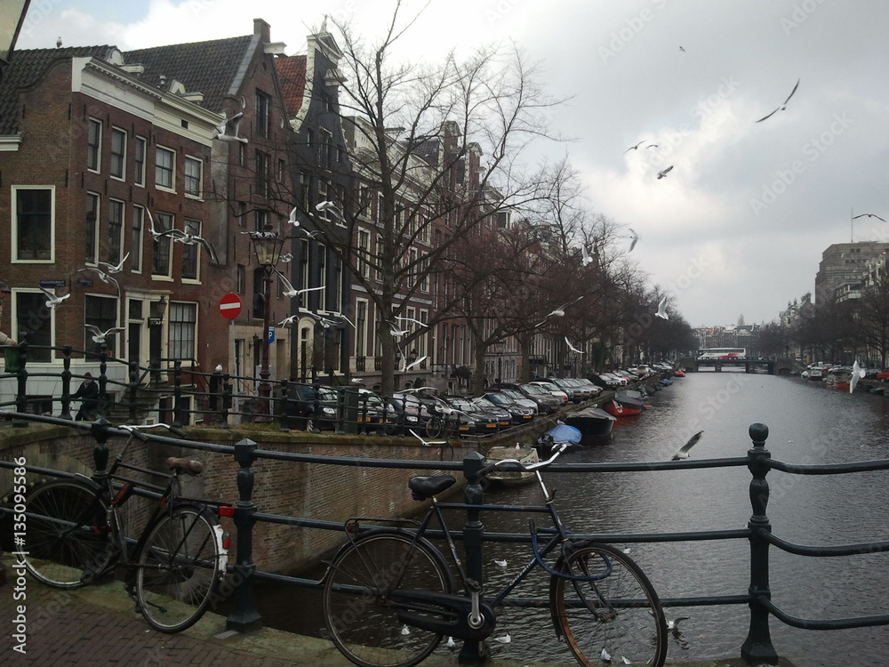 Canal View Amsterdam Spring Winter