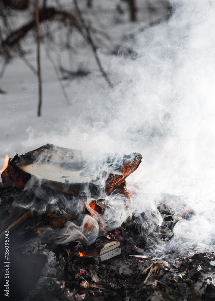 Close-up of a fire in the winter forest of old books, papers, magazines and garbage
