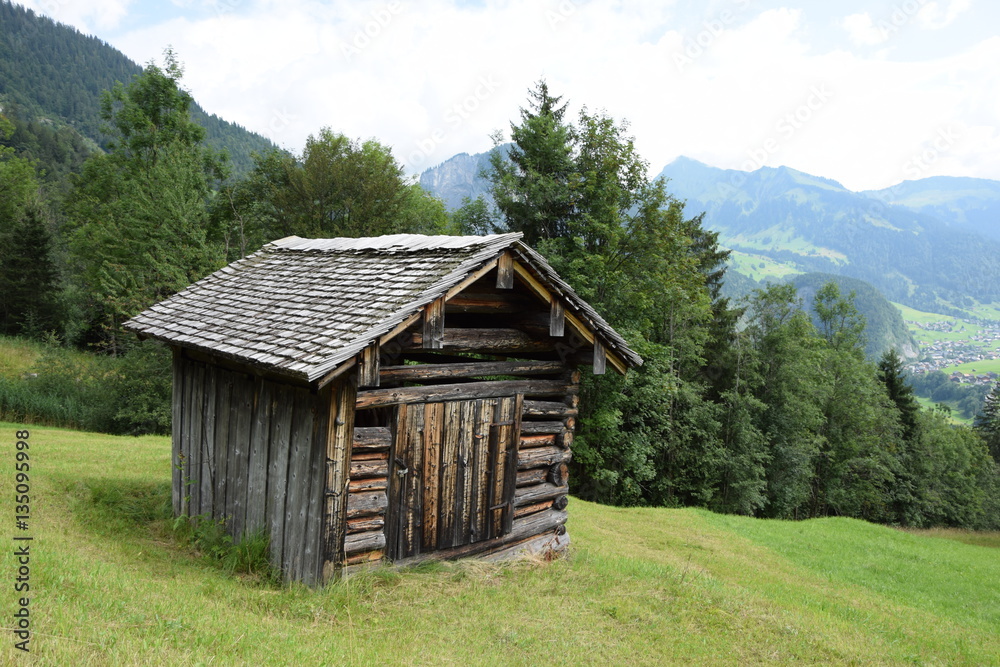 Hütte im Auer Ried, Bregenzerwald