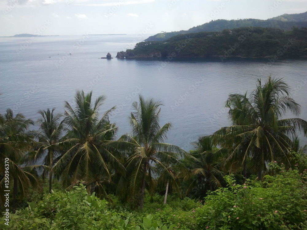 Sea View Palm Sea View Palm