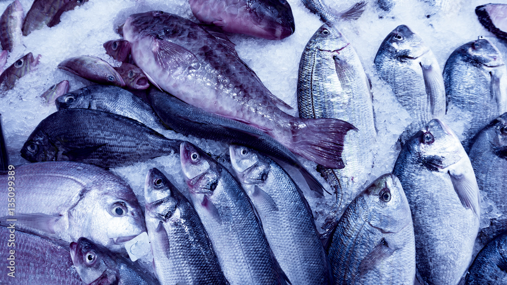 Obraz premium fish
