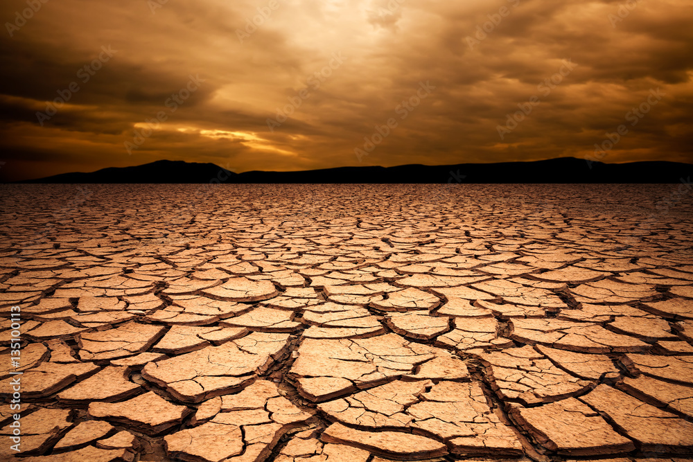 Fotografie, Obraz dramatic sunset over cracked earth. Desert landscape background.