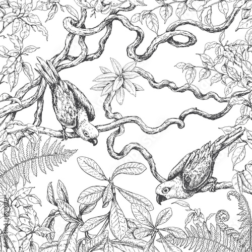 Parrots Sitting  on Branches