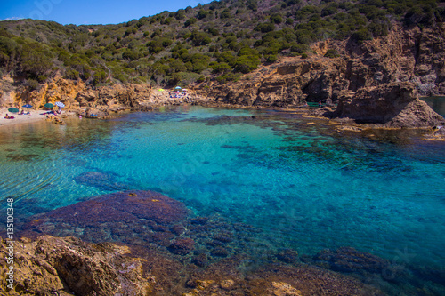 Sardinia beatifull bay crystal water with rock and tree
