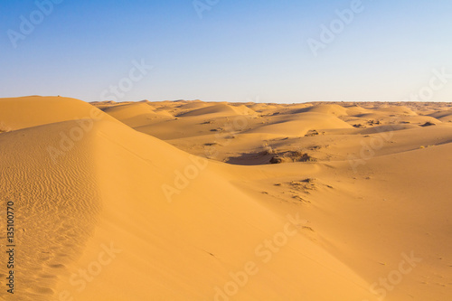 Sand dunes in the Maranjab desert  near Kashan  Iran.