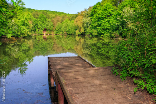 pier on forest Lake