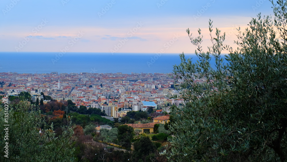View of Nice City from above