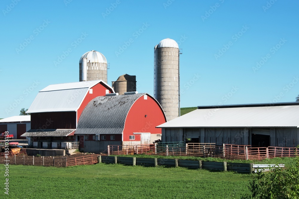 Dairy Farm Dairy Farm