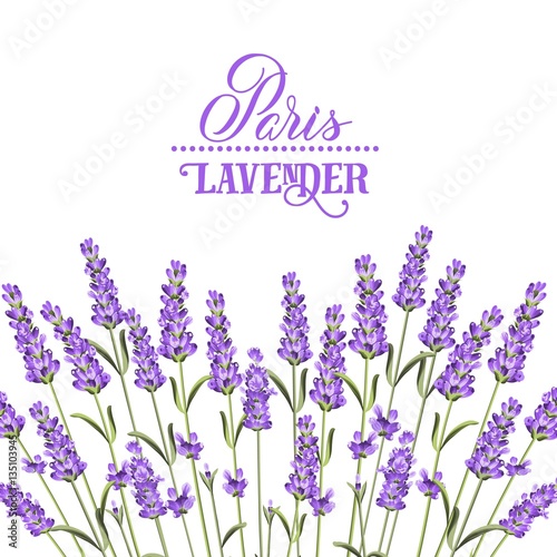 Wreath of lavender flowers in watercolor paint style. The lavender elegant card with frame of flowers and text. Lavender garland for your text presentation. Vector illustration.