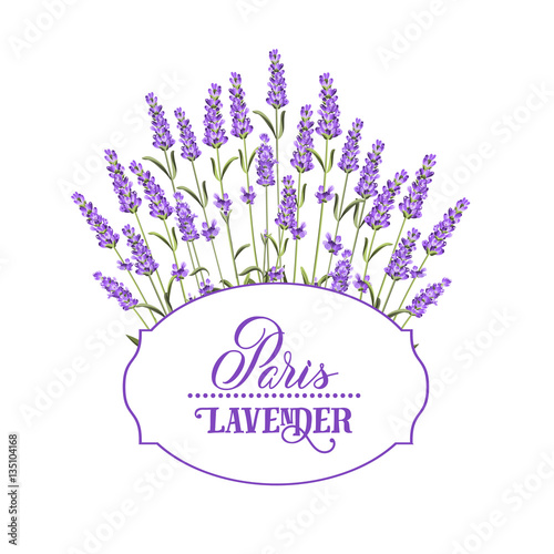 Wreath of lavender flowers in watercolor paint style. The lavender elegant card with frame of flowers and text. Lavender garland for your text presentation. Vector illustration.