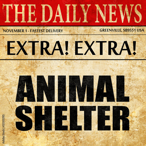 Wallpaper Mural animal shelter, newspaper article text Torontodigital.ca