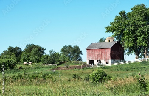 Old Barn and Horses