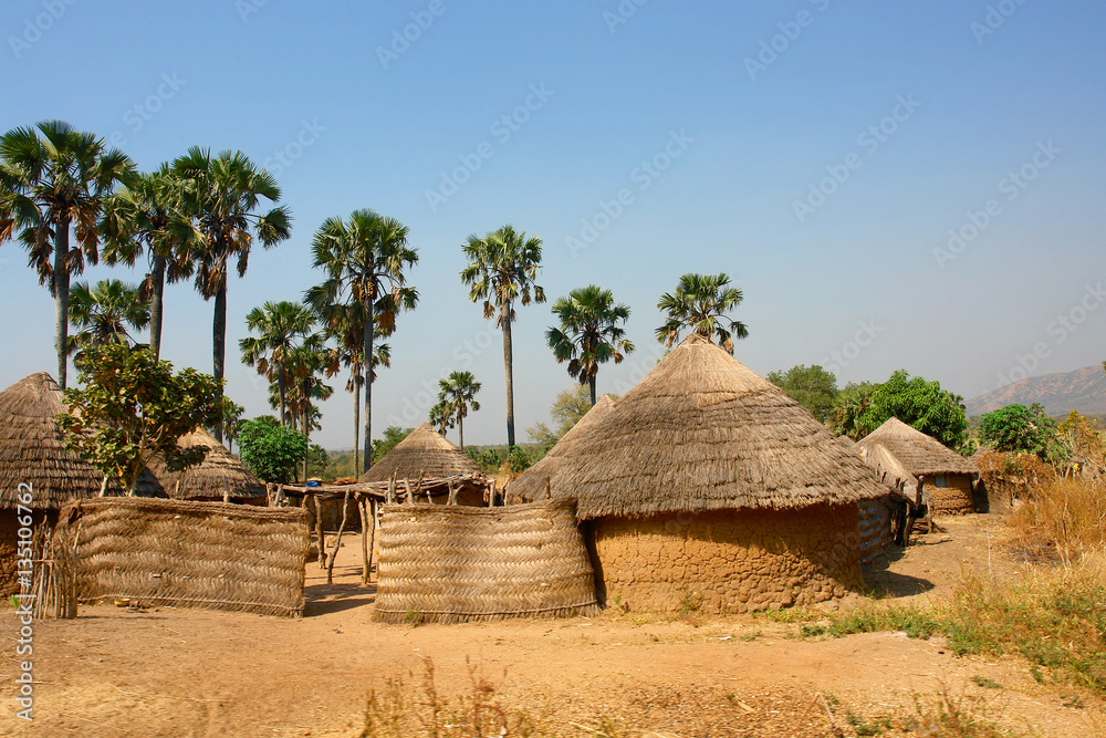 Traditional village in Cameroon
 - obrazy, fototapety, plakaty 