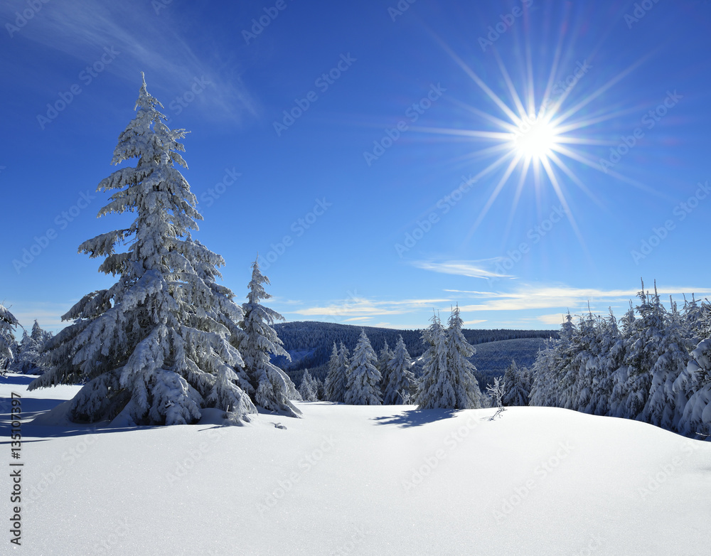 Tief verschneite unberührte Winterlandschaft, schneebedeckte Tannen, funkelnde Schneekristalle im Sonnenlicht
