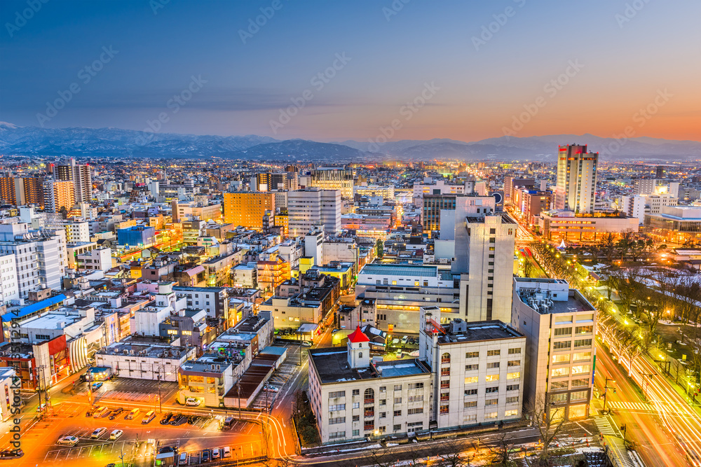 Toyama Japan Skyline