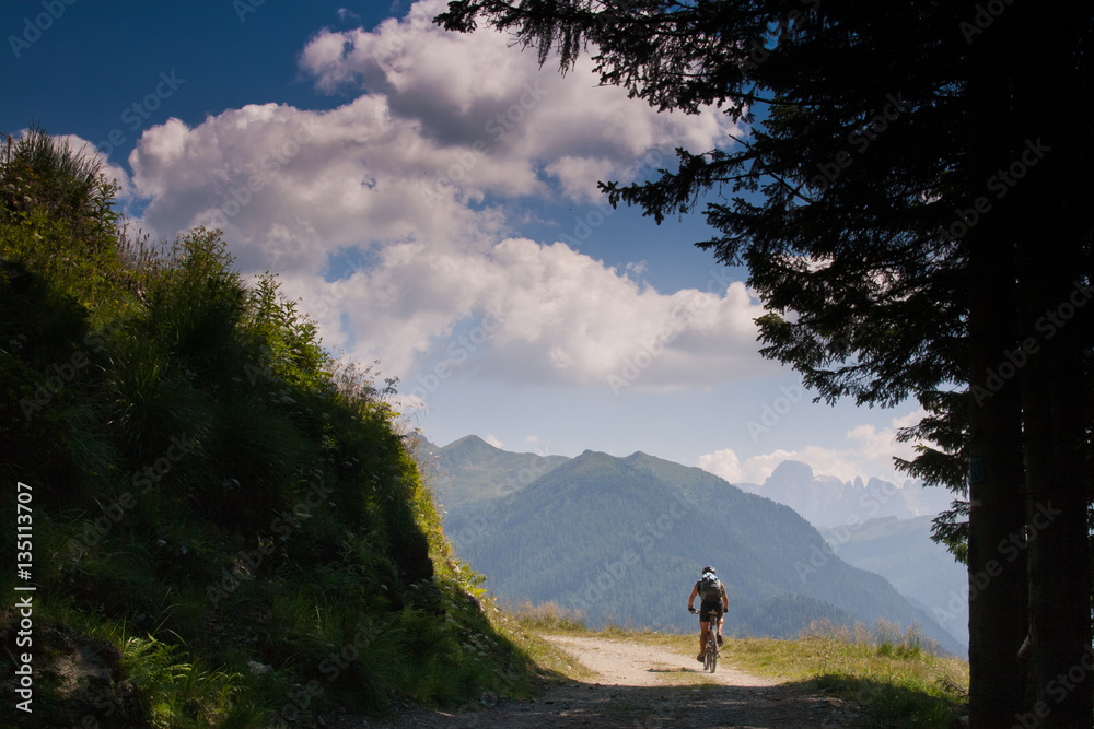 Lagorai Mountain. Trentino Alto Adige. Italy, Forest road Coldos Lagorai Mountain. Trentino Alto Adige. Italy, Forest road Coldos