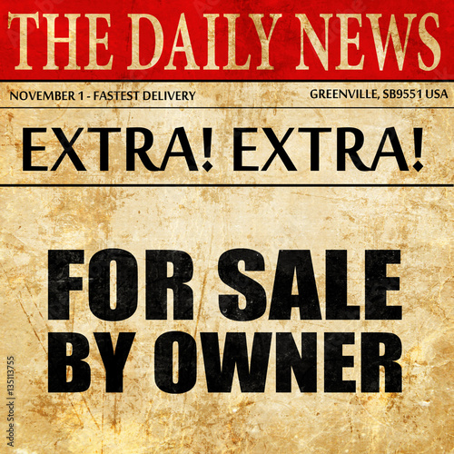 Wallpaper Mural for sale by owner, newspaper article text Torontodigital.ca