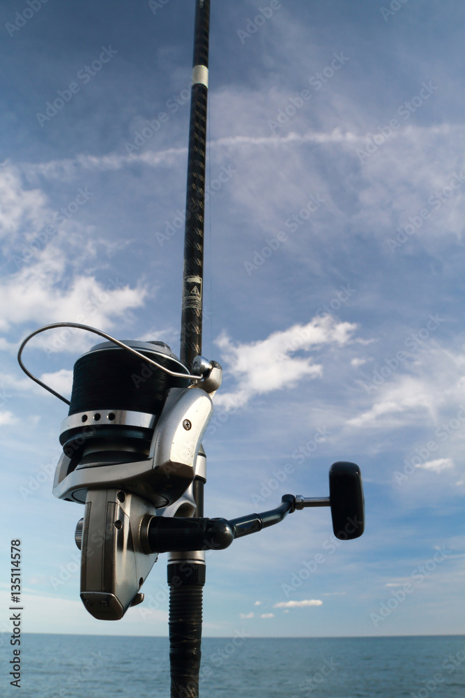 Detail of the reel of a fishing rod