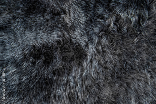 Obraz na plátně Grey sheepskin rug background sheep fur Wool texture