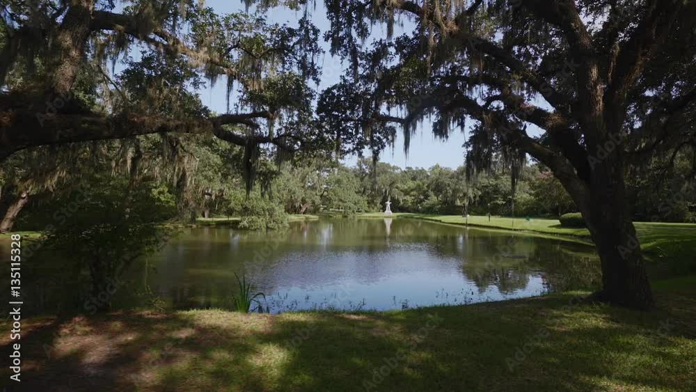 The giant oaks of Brookgreen Gardens, Myrtle Beach , South Carolina, USA, Jul 2016 The giant oaks of Brookgreen Gardens, Myrtle Beach , South Carolina, USA, Jul 2016